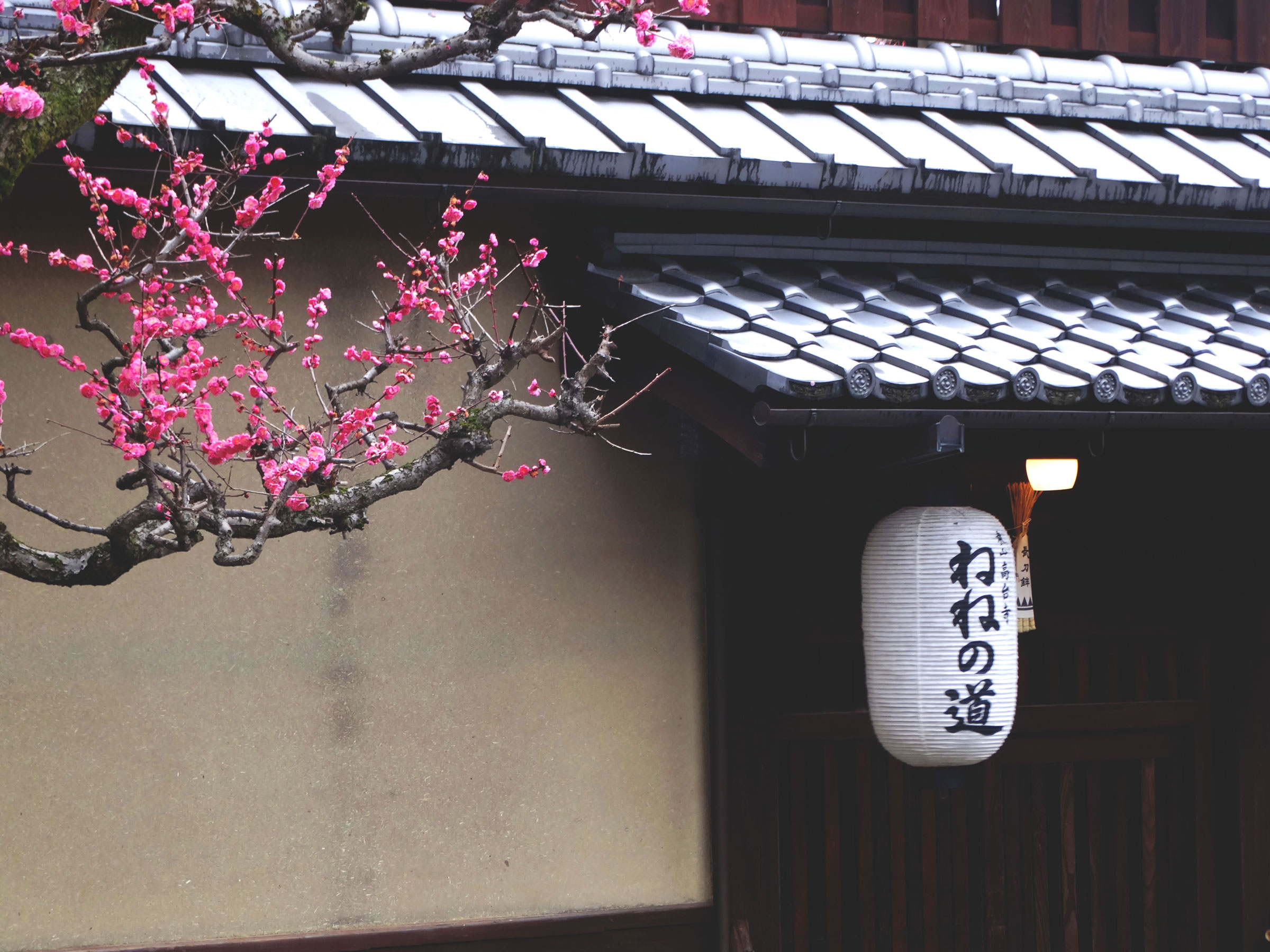 Petite vue de Kyoto