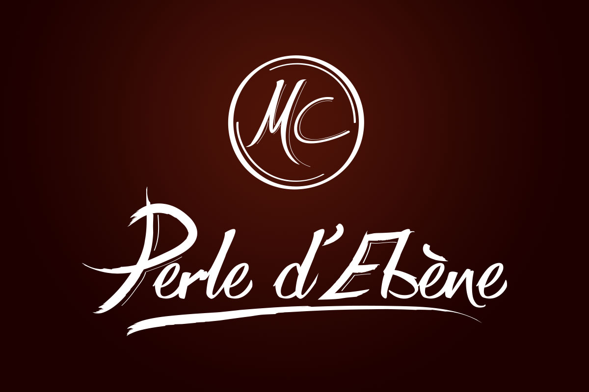 Création du logo d'une ébénisterie contemporaine et design